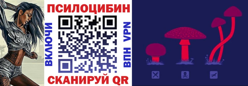 Галлюциногенные грибы Psilocybe  цена наркотик  Обнинск 