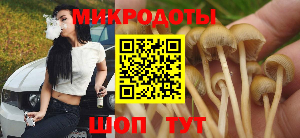 Галлюциногенные грибы Cubensis Обнинск