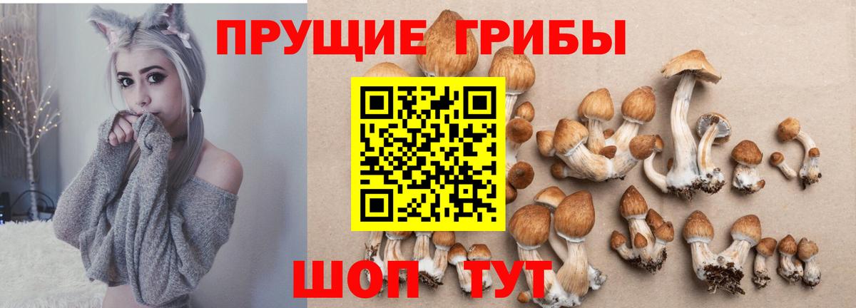 Обнинск  Псилоцибиновые грибы мицелий  Вход с VPN 